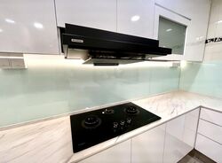 Four Seasons Park (D10), Condominium #479926571